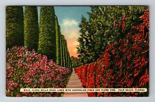 Palm Beach FL-Florida, Walk Along Wells Road, Antique, Vintage c1940 Postcard picture