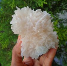 Apophyllite Crystal On Scolecite Flower Minerals Specimen #H18 picture