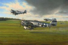 Days of Thunder by Richard Taylor aviation art signed by FOUR P-47 Pilots picture