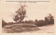 Vintage Creeping Sands Old Cherry Tree  Desert of Maine Freeport  Maine ME P564 picture