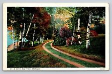 A Drive Bay View Michigan MI Old Vintage Postcard View 1920s Country Road Lane picture