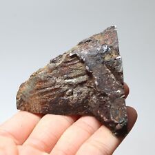 251g Muonionalusta meteorite part slice  A2112 picture