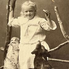 Antique CDV Photograph Adorable Little Girl Giving Beloved Dog Treat “Sit” Trick picture