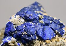 441 GM Mesmerising Blue Lazurite-Phlogopite-Pyrite Crystals On Matrix Specimen picture