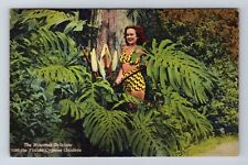 Cypress Gardens FL-Florida, The Monstera Deliciosa, Antique, Vintage Postcard picture