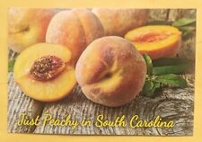 Postcard SC. Peaches. South Carolina  picture
