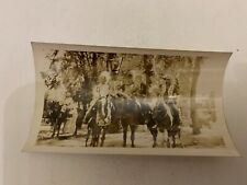 c.1940's Yakima Indian Chiefs on Horseback Washington Black and White Photograph picture