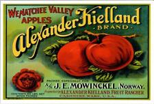 Vintage Postcard Alexander Kielland Apples Brand Box Label Repo ~ Ships FREE picture