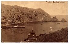 Avalon Aerial View Catalina Island California c. 1900 Edward H. Mitchell PC picture