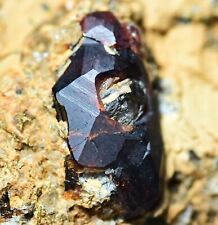 76 Gram Well Terminated Chondrodite Chlinohumite Crystal On Matrix picture