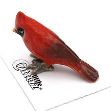 Little Critterz Red - Cardinal 
