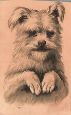 Vintage Postcard Yorkshire Terrier Energetic & Affectionate Dog Animal Artwork picture