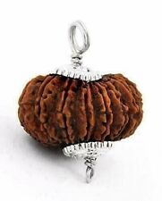 Certified A++ 21 Mukhi Rudraksha: Exquisite and Rare Hindu Sacred Bead picture