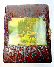 Antique Victorian Late 1800s to Early 1900s Celluloid Photo Album - 10.5 x 8.5