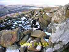 Photo 6x4 The Lookout post, Sam in the Shelter Cairn Galashiels  c2008 picture