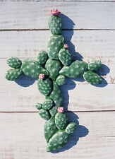 Western Southwest Flowering Saguaro Cactus Cacti Forest Wall Cross Decor Plaque picture