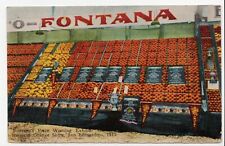 Fontana Winning Exhibit National Orange Show San Bernardino, CA 1913 Postcard picture