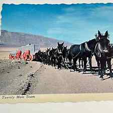 Scalloped Edge POSTCARD Vintage 1970s 20 Mule Team in Death Valley D10 picture