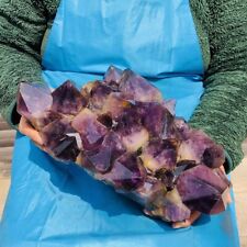 17.97LB Natural Amethyst Cluster Purple Quartz Crystal Rare Mineral Specimen 995 picture