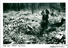 Deer Cull - Vintage Photograph 2745991 picture