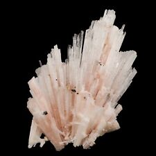 Pink Scolecite Sprays Rare found Natural Mineral Specimen # B 6662 picture