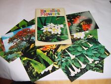 VTG HAWAII - HAWAIIAN FLOWERS 12 PICTURES picture