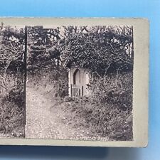 Stereoview Card 3D C1875 Freshwater Isle Of Wight Tennyson's Arbour picture