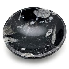 Fossil Orthoceras Bowl | Crystal Charging Bowl Natural Gemstone Jewelry Bowl picture