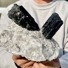 5.86LB Natural Black Tourmaline Crystal Gemstone Rough Mineral Specimen picture