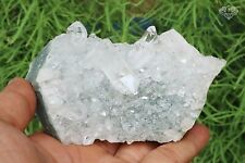 High Grade Himalayan Green Chlorite Rough Healing Crystal 310 gm Minerals Stone picture