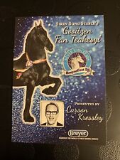 Breyerfest 2014 Gootizen Fan Teakesyl Trading Card picture