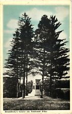 Braddock's Grave National Pike Farmington PA White Border Postcard c1930 picture