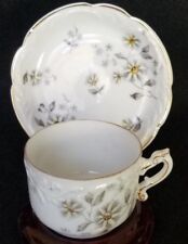 ANTIQUE R & C ROSENTHAL DEMITASSE CUP AND SAUCER DAISIES  picture