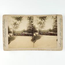 Tinted Crowd in Chicago Park Stereoview c1880 Illinois Path Bench Photo B1906 picture