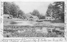 C-1905 US Fish Hatchery Nelson's 5 Cents Store Nashua New Hampshire 12128 picture