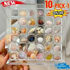 Acrylic Magnetic Seashell Display Box, 36-216Grids Gemstone Storages 10 Picks 1 picture