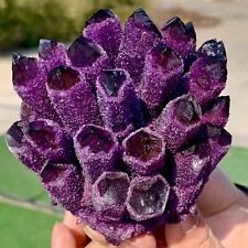 1.1LB New find sky purple phantom quartz crystal cluster mineral sample picture