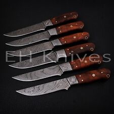 6 PIECES CUSTOM HANDMADE DAMASCUS Steel Full Tang KITCHEN CHEF STEAK KNIVES 06 picture