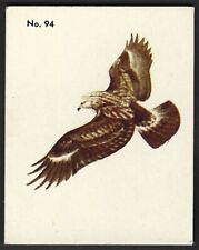 1952 ROUGH LEGGED HAWK Card PARKHURST Gum V339-2 Audubon BIRDS Canadian #94 Bird picture
