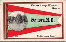 Vintage 1914 SONORA, North Dakota Greetings Postcard 