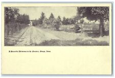 c1905 Beautiful Driveway In The Nursery Dirt Road Osage Iowa IA Antique Postcard picture
