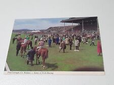 The Curragh, Co. Kildare Home Of Irish Ireland Horse Racing Vintage Postcard picture