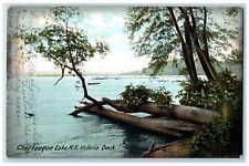 1906 Victoria Dock Log Swamp River Lake Boat Chautauqua Lake New York Postcard picture