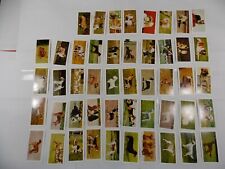 Hornimans Tea Cards Dogs Complete Set 48 picture