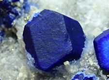 Superb Quality Lazurite Crystal with Forsterite Cluster Pyrite On Matrix 603 gm picture
