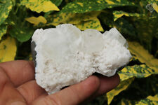 Natural White Apophyllite Minerals 161 gm Meditation Rough Specimen picture