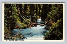 Black Hills SD-South Dakota, Solitude, Antique, Vintage Souvenir Postcard picture