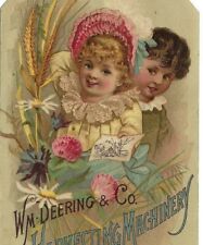 NJ-115 IL Chicago WM Deering All Steel Binder Pretty Girl Victorian Trade Card picture