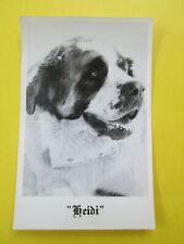 HEIDI  (IROQOIS MOUNTAIN LODGE St. Bernard Dog Mascot)  Vtg. REAL PHOTO Postcard picture