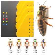 Markings Tag 500 pcs for Queen Bees 5 Colors* Numbers 1 -100 (+Glue+Tool) picture